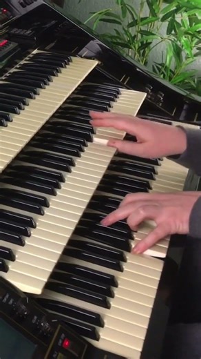 Call Me | Florian Hutter - Wersi Atlantis #shorts #organ #bossanova
