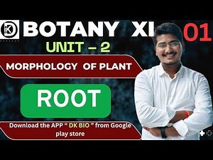 Root and its Types | L - 1 |BOTANY | Morphology of Flowering Plants | #chseodisha #biology #neet