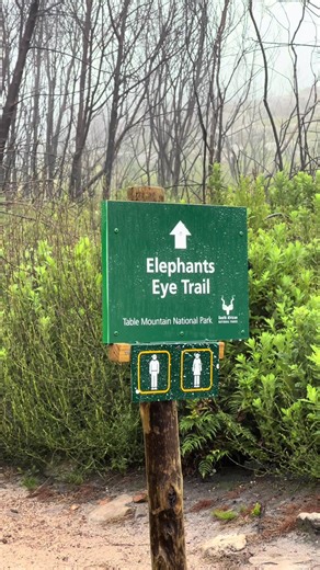📍 Elephants Eye Trail Here is my take on hiking this trail. #hikingadventures #hikingtiktok #hikingtips #hikingreview #hikingcapetown