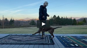 Precision Heeling Techniques for: Fading Lures, Pivots, Proofing & More