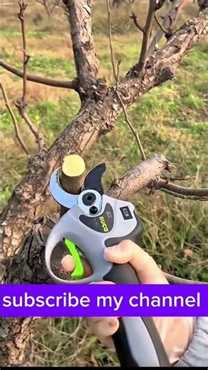 ✂️ Winter Tree Pruning Shears for Stronger Growth 🌿❄️