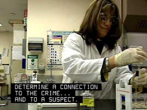 Forensic Scientist Career Overview