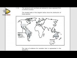 MEMO FINAL EXAM LIFE SCIENCES SCIENCES P.2 (PAPER 2) GRADE 12 M/J [THUNDEREDUC] BY M.SA