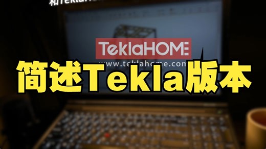 简述 Tekla Structures 版本区别与选择