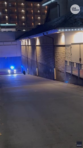 Video captured Gatlinburg police chasing after a black bear in a squad car. | Akron Beacon Journal