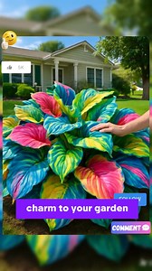 110K views · 1.5K reactions |  Rainbow Hosta Plant Seeds — Grow...