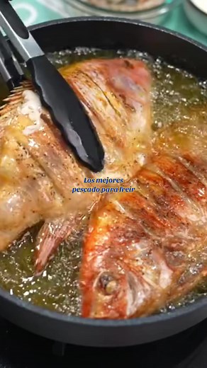 Los Mejores Pescados para Freír en Maracaibo
