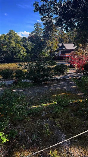 #宇佐神宮 #ぶらり観光