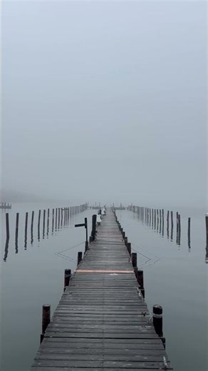 Foggy day at the Bellport Dock