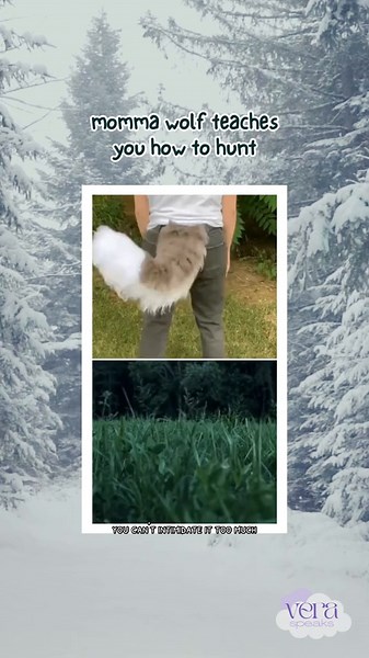 Teaching My Wolf Pup Essential Hunting Skills