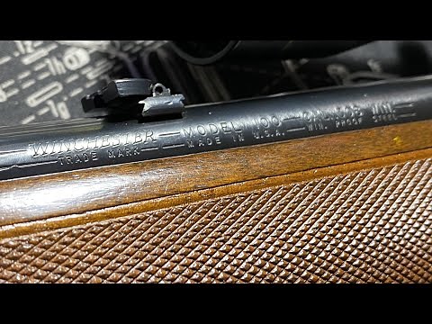Winchester Model 100