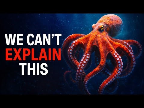 The Terrifying Intelligence of Octopuses Explained | Alien-Like Ocean Creatures”