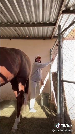Calibre🐴 doing the special effects by moving the fence😂🥳