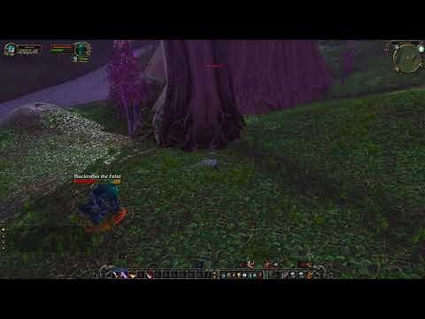 Blackmoss the Fetid (Rare), Teldrassil, WoW Classic