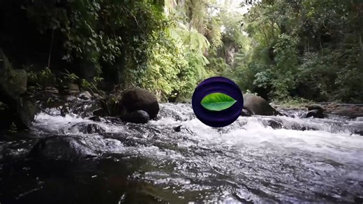 EMDR’s Bilateral Stimulation: Go With The Flow