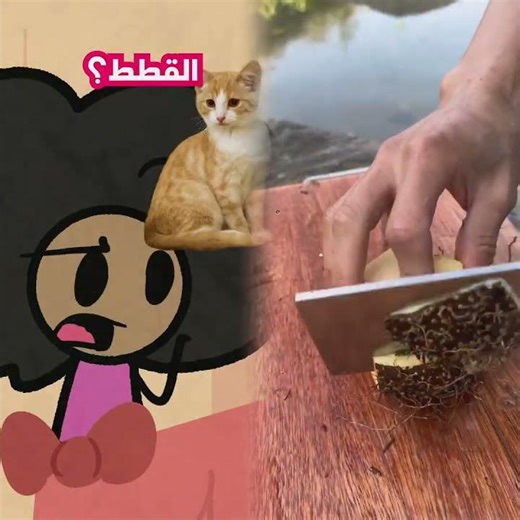 خربت لابتوب اختي بدون ما تعرف 😶‍🌫️