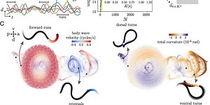 Complexity Thoughts: Issue #58