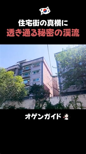 ここ本当にソウル？住宅街に隠れた清流 #ソウル旅行