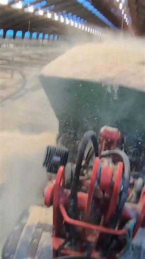 Farm Girl Cleaning a Manure | Farm Factory