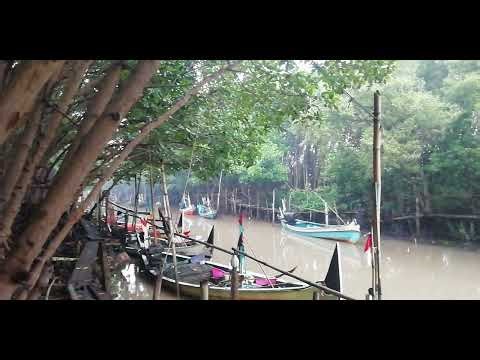 Mangrove Forest ASMR: Calm Estuary & Traditional Fishing Village Ambience