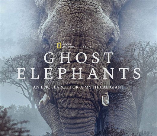 Ghost Elephants Summary, Trailer, Cast, Where to Watch and More