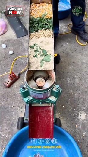 Pellet Feed Making Machine | Profitable Feed Production for Poultry & Livestock