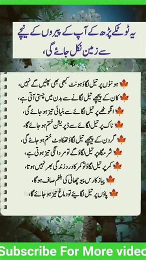 Amazing Oil Application Tips That Will Change Your Life#islamicshorts #sunnahcom #ussunnah #fussilat