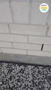 225 reactions · 34 shares | Running out of Elf ideas? We’ve done the hard work for you. With over 400 props and costumes, you can create a new scene in minutes. Australian owned, designed, affordable, and made for every elf. Invite the magic into your home today | My Magical Moments | Facebook