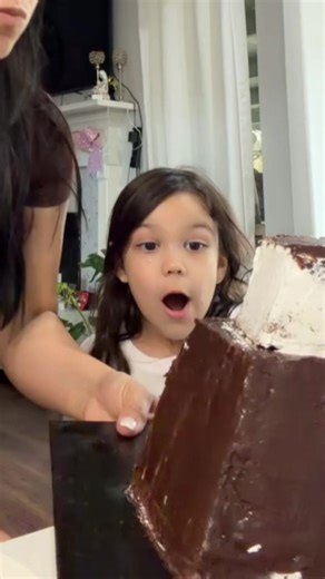 Delicious Cake Experiment: Chocolate and Vanilla Layers