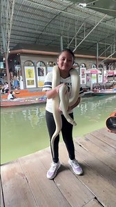 Skye and Ivory ball python❤️