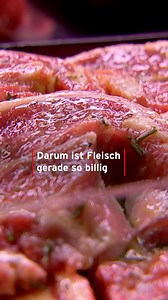 Schweinerei: alles wird teurer, aber Fleisch beim Discounter offensichtlich nicht?! Das liegt an einem komplexen Zusammenspiel aus Überproduktion und sinkender Nachfrage - für Schweinezüchter:innen ist es ein Problem. >> rbburl.de/fleischpreise | rbb24