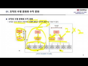 BP 09장 2 조직의 분화와 프로세스의 계층 구조