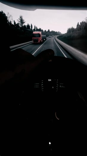 POV: Logitech wheel on Euro Truck Simulator 2 🎮🚛