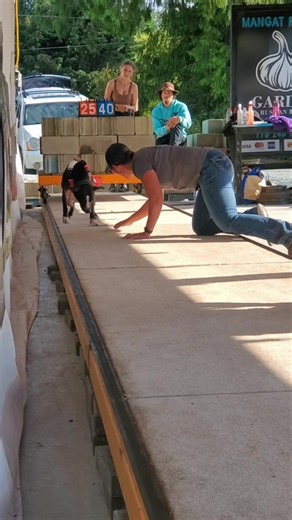 ★★★★★ Over 50,000 5-Star Reviews 🏆 The Original Muscle Builder Since 2009 Bully Max® Power Tabs for Muscle Gain help dogs pack on real muscle, build strength, and develop a thicker, more powerful physique. ⚡ Supports lean muscle growth 🏆 Trusted by serious dog owners for over 15 years 🇺🇸 Made in the USA Add Bully Max Power Tabs to your dog’s routine and help them build real muscle. #bullymax #workingdog #pitbulls