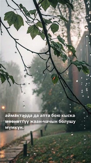 #BATKENNEWS: Despite the rain, temperatures will reach +36 degrees #salammedia #kyrgyzstan