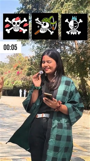 NAME EVERY STRAW HAT & THEIR ROLE! || One Piece