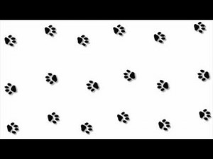 Remastered Cat Scene From Baby Dolittle Neighborhood Animals 2001