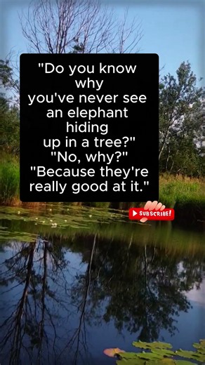 Why You Never See Elephants in Trees #humor #comedy #shorts