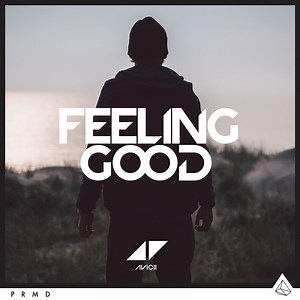 Feeling Good - Avicii: Song Lyrics, Music Videos & Concerts
