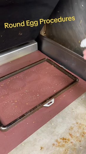 How to Properly Cook Round Eggs