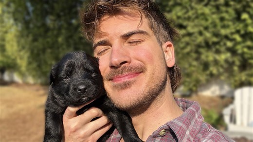 Puppy wins hearts with playful antics