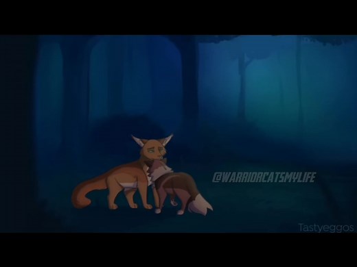 Firestar & Brambleclaw #firestar#brambleclaw#warriorcats#waca#warriors#cats#warriorscats#meow#claws#fire#thunderclan#love#catlove#catedit#catpage#foryou#fypg#fyyyyyyyyyyyyyyyy#foryoupage#fypdongggggggg#🐱❤️