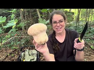 Puffball mushrooms with purple spores! How to ID edible Calvatia cyanthiformis mushrooms