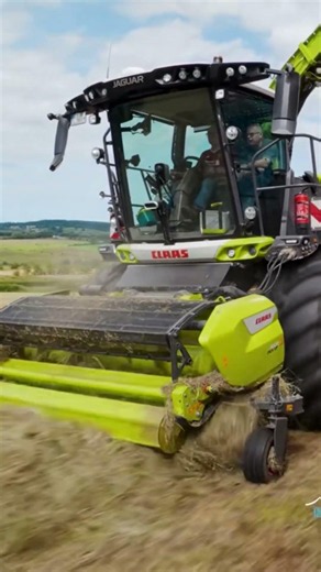 Claas Jaguar 1200 purring though first cut silage