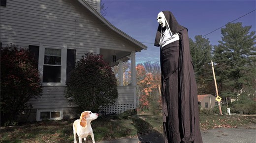 Evil nun grows into giant ghost to haunt dogs