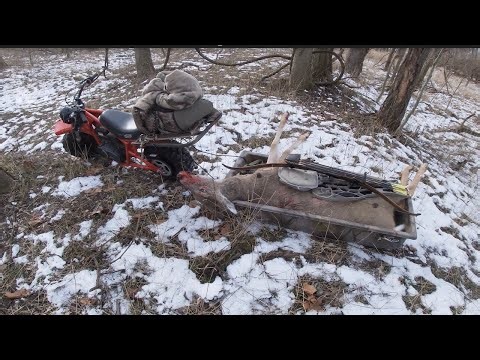 Traditional Bow Kill in the Snow - Perfect Footage
