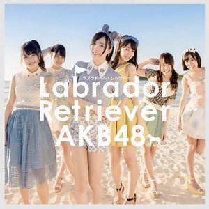 AKB48 - Labrador Retriever