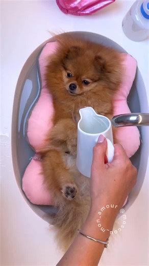 Lefevre Tetiana | When you’ve set your priorities for the day right❤️ All accessories such as ✔️ Floating Pillow ✔️ Bath Cap ✔️ Automatic Foam Maker can be... | Instagram