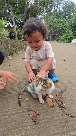 farhan maen sama kucing #trendingshorts