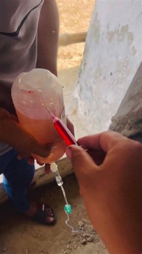 Intravenous infusion #injection #cow #infusionpump #animals #farming #veterinarypharmacist